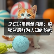 足坛球员国籍归属:揭秘背后鲜为人知的秘密(图3) 足坛球员国籍归属:揭秘背后鲜为人知的秘密(图3)
