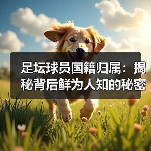 足坛球员国籍归属:揭秘背后鲜为人知的秘密(图1) 足坛球员国籍归属:揭秘背后鲜为人知的秘密(图1)