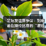 足坛友谊赛争议:到底谁在操控比赛的“潜规则”?(图4) 足坛友谊赛争议:到底谁在操控比赛的“潜规则”?(图4)