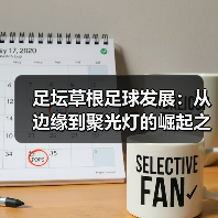 足坛草根足球发展:从边缘到聚光灯的崛起之路(图3) 足坛草根足球发展:从边缘到聚光灯的崛起之路(图3)