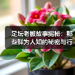 足坛老板故事揭秘:那些鲜为人知的秘密与行业内幕(图4) 足坛老板故事揭秘:那些鲜为人知的秘密与行业内幕(图4)