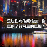 足坛伤病传闻核实:你真的了解背后的真相吗?(图3) 足坛伤病传闻核实:你真的了解背后的真相吗?(图3)