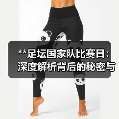 **足坛国家队比赛日：深度解析背后的秘密与机会**