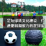 足坛球场文化建设：打造更具凝聚力的足球家园（图4）