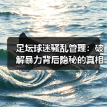 足坛球迷骚乱管理:破解暴力背后隐秘的真相(图2) 足坛球迷骚乱管理:破解暴力背后隐秘的真相(图2)