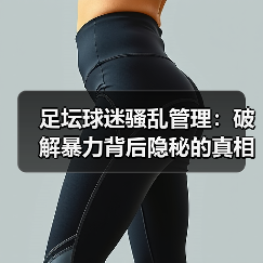 足坛球迷骚乱管理:破解暴力背后隐秘的真相(图4) 足坛球迷骚乱管理:破解暴力背后隐秘的真相(图4)
