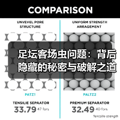 足坛客场虫问题：背后隐藏的秘密与破解之道（图3）