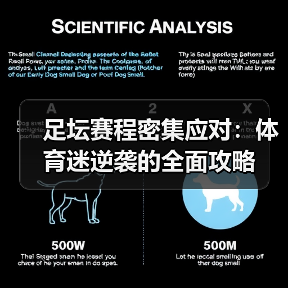 足坛赛程密集应对：体育迷逆袭的全面攻略