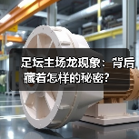 足坛主场龙现象:背后藏着怎样的秘密?(图4) 足坛主场龙现象:背后藏着怎样的秘密?(图4)