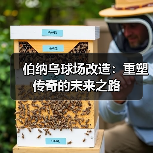 伯纳乌球场改造：重塑传奇的未来之路
