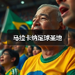 马拉卡纳足球圣地(图4) 马拉卡纳足球圣地(图4)