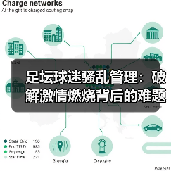足坛球迷骚乱管理：破解激情燃烧背后的难题