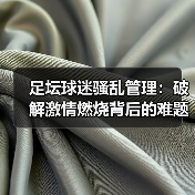 足坛球迷骚乱管理:破解激情燃烧背后的难题(图3) 足坛球迷骚乱管理:破解激情燃烧背后的难题(图3)