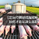 【足坛打假球措施揭秘：如何才能从源头遏制违规行为】（图3）