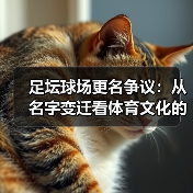 足坛球场更名争议:从名字变迁看体育文化的迷思(图4) 足坛球场更名争议:从名字变迁看体育文化的迷思(图4)
