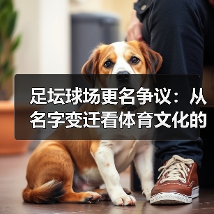 足坛球场更名争议:从名字变迁看体育文化的迷思(图3) 足坛球场更名争议:从名字变迁看体育文化的迷思(图3)
