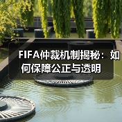 FIFA仲裁机制揭秘:如何保障公正与透明(图4) FIFA仲裁机制揭秘:如何保障公正与透明(图4)