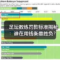 足坛教练罚款标准揭秘:谁在用钱衡量胜负?(图2) 足坛教练罚款标准揭秘:谁在用钱衡量胜负?(图2)