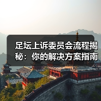 足坛上诉委员会流程揭秘:你的解决方案指南(图2) 足坛上诉委员会流程揭秘:你的解决方案指南(图2)