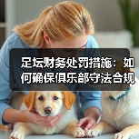 足坛财务处罚措施:如何确保俱乐部守法合规(图2) 足坛财务处罚措施:如何确保俱乐部守法合规(图2)
