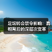 足坛转会禁令影响:真相背后的深层次变革(图4) 足坛转会禁令影响:真相背后的深层次变革(图4)