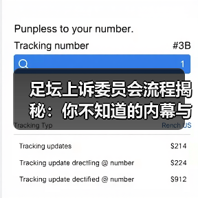 足坛上诉委员会流程揭秘：你不知道的内幕与实操技巧
