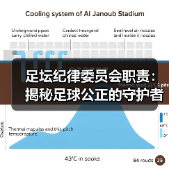 足坛纪律委员会职责:揭秘足球公正的守护者(图3) 足坛纪律委员会职责:揭秘足球公正的守护者(图3)