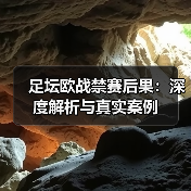 足坛欧战禁赛后果:深度解析与真实案例(图2) 足坛欧战禁赛后果:深度解析与真实案例(图2)