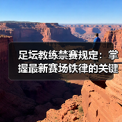 足坛教练禁赛规定：掌握最新赛场铁律的关键指南（图3）