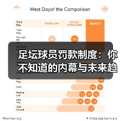 足坛球员罚款制度:你不知道的内幕与未来趋势(图4) 足坛球员罚款制度:你不知道的内幕与未来趋势(图4)