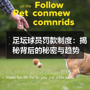 足坛球员罚款制度：揭秘背后的秘密与趋势