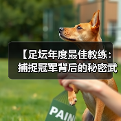【足坛年度最佳教练：捕捉冠军背后的秘密武器】（图4）