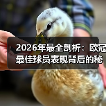 2026年最全剖析：欧冠最佳球员表现背后的秘密（图3）