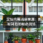 足坛内幕消息来源：揭秘背后的秘密战场（图4）