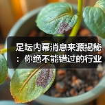 足坛内幕消息来源揭秘:你绝不能错过的行业内幕(图1) 足坛内幕消息来源揭秘:你绝不能错过的行业内幕(图1)