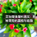 足坛媒体爆料真实：揭秘背后的真相与套路（图4）