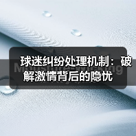 球迷纠纷处理机制：破解激情背后的隐忧（图3）