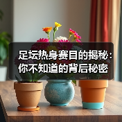 足坛热身赛目的揭秘:你不知道的背后秘密(图3) 足坛热身赛目的揭秘:你不知道的背后秘密(图3)