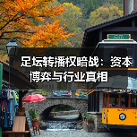 足坛转播权暗战:资本博弈与行业真相(图3) 足坛转播权暗战:资本博弈与行业真相(图3)
