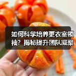 如何科学培养更衣室领袖?揭秘提升团队凝聚力的实战策略(图2) 如何科学培养更衣室领袖?揭秘提升团队凝聚力的实战策略(图2)