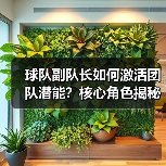 球队副队长如何激活团队潜能?核心角色揭秘(图1) 球队副队长如何激活团队潜能?核心角色揭秘(图1)