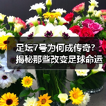 足坛7号为何成传奇?揭秘那些改变足球命运的巨星(图4) 足坛7号为何成传奇?揭秘那些改变足球命运的巨星(图4)