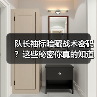 队长袖标暗藏战术密码？这些秘密你真的知道吗？（图2）