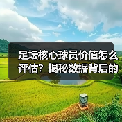 足坛核心球员价值怎么评估？揭秘数据背后的真正关键（图4）