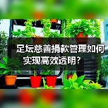 足坛慈善捐款管理如何实现高效透明?(图3) 足坛慈善捐款管理如何实现高效透明?(图3)