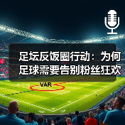 足坛反饭圈行动:为何足球需要告别粉丝狂欢?(图3) 足坛反饭圈行动:为何足球需要告别粉丝狂欢?(图3)