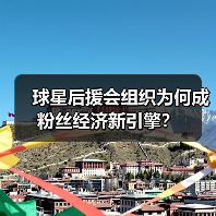球星后援会组织为何成粉丝经济新引擎?(图2) 球星后援会组织为何成粉丝经济新引擎?(图2)