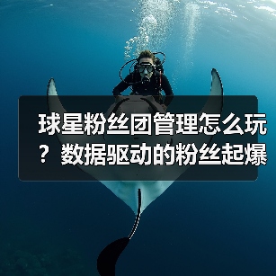 球星粉丝团管理怎么玩?数据驱动的粉丝起爆秘籍(图4) 球星粉丝团管理怎么玩?数据驱动的粉丝起爆秘籍(图4)