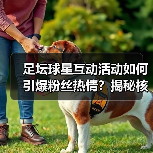 足坛球星互动活动如何引爆粉丝热情?揭秘核心技巧(图2) 足坛球星互动活动如何引爆粉丝热情?揭秘核心技巧(图2)