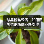 球星粉丝经济:如何用热情驱动商业新引擎(图4) 球星粉丝经济:如何用热情驱动商业新引擎(图4)